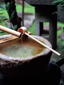 �萅���ƕ��ۂ̎ʐ^