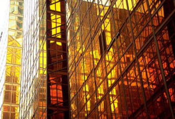 �[���ɐ��܂�K���X�r���̎ʐ^