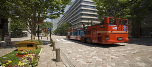 �����h���o�X������X���݂̎ʐ^