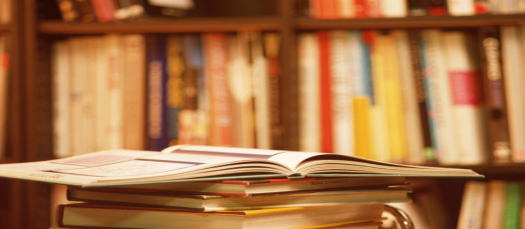 �G�R�Ƃ������ւ̕��i