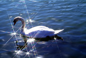 �����̎ʐ^